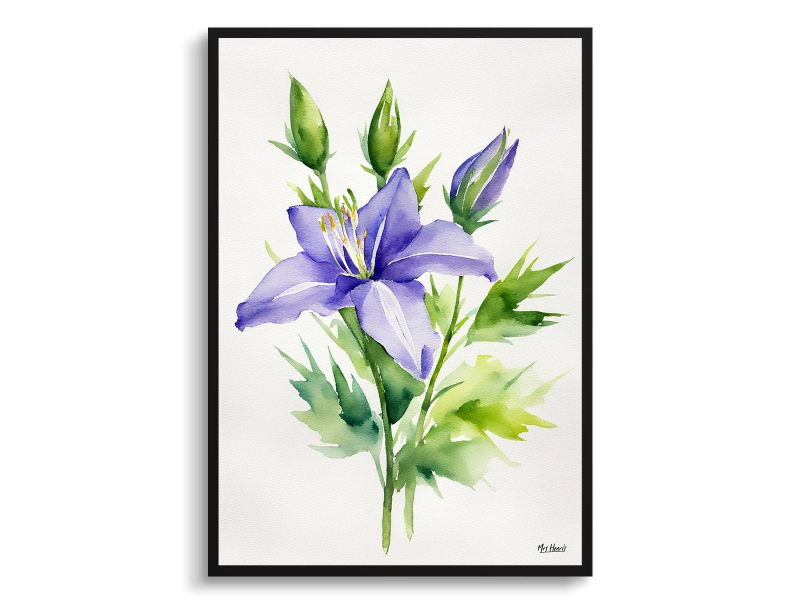 Bellflower (Campanula) Watercolour Botanical Art Print - Canterbury-bells Minimalist Framed Plant Wall Art 7 Bellflower (Campanula) Watercolour Botanical Art Print - Canterbury-bells Minimalist Framed Plant Wall Art - Image 5
