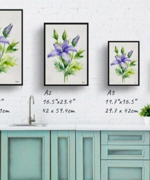 Bellflower (Campanula) Watercolour Botanical Art Print - Canterbury-bells Minimalist Framed Plant Wall Art 21 Bellflower (Campanula) Watercolour Botanical Art Print - Canterbury-bells Minimalist Framed Plant Wall Art - Image 8