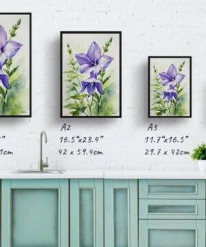 Bellflower (Campanula) Watercolour Botanical Art Print - Canterbury-bells Framed Plant Wall Art 25 Bellflower (Campanula) Watercolour Botanical Art Print - Canterbury-bells Framed Plant Wall Art - Image 12