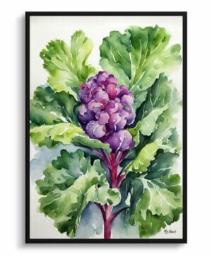 Brussels sprouts Watercolour Botanical Art Print - Brassica Oleracea Framed Plant Wall Art 22 Brussels sprouts Watercolour Botanical Art Print - Brassica Oleracea Framed Plant Wall Art - Image 9