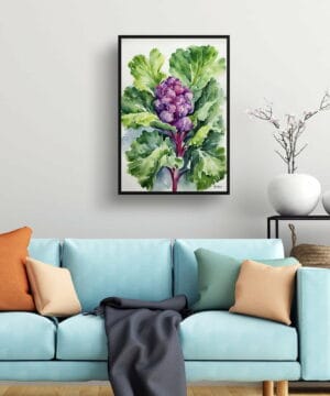 Brussels sprouts Watercolour Botanical Art Print - Brassica Oleracea Framed Plant Wall Art 19 Brussels sprouts Watercolour Botanical Art Print - Brassica Oleracea Framed Plant Wall Art - Image 6