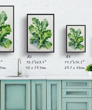 Brussels sprouts Watercolour Botanical Art Print - Brassica Oleracea Minimalist Framed Plant Wall Art 21 Brussels sprouts Watercolour Botanical Art Print - Brassica Oleracea Minimalist Framed Plant Wall Art - Image 8