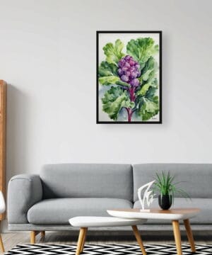 Brussels sprouts Watercolour Botanical Art Print - Brassica Oleracea Framed Plant Wall Art 20 Brussels sprouts Watercolour Botanical Art Print - Brassica Oleracea Framed Plant Wall Art - Image 7