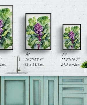 Brussels sprouts Watercolour Botanical Art Print - Brassica Oleracea Framed Plant Wall Art 25 Brussels sprouts Watercolour Botanical Art Print - Brassica Oleracea Framed Plant Wall Art - Image 12