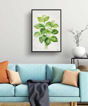 Siberian bugloss (Brunnera Macrophylla) Watercolour Botanical Art Print - Boraginaceae Minimalist Framed Plant Wall Art 23 Siberian bugloss (Brunnera Macrophylla) Watercolour Botanical Art Print - Boraginaceae Minimalist Framed Plant Wall Art - Image 10