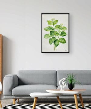 Siberian bugloss (Brunnera Macrophylla) Watercolour Botanical Art Print - Boraginaceae Minimalist Framed Plant Wall Art 20 Siberian bugloss (Brunnera Macrophylla) Watercolour Botanical Art Print - Boraginaceae Minimalist Framed Plant Wall Art - Image 7