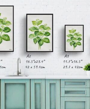 Siberian bugloss (Brunnera Macrophylla) Watercolour Botanical Art Print - Boraginaceae Minimalist Framed Plant Wall Art 21 Siberian bugloss (Brunnera Macrophylla) Watercolour Botanical Art Print - Boraginaceae Minimalist Framed Plant Wall Art - Image 8