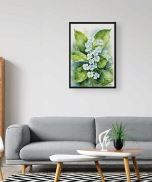 Siberian bugloss (Brunnera Macrophylla) Watercolour Botanical Art Print - Boraginaceae Framed Plant Wall Art 20 Siberian bugloss (Brunnera Macrophylla) Watercolour Botanical Art Print - Boraginaceae Framed Plant Wall Art - Image 7