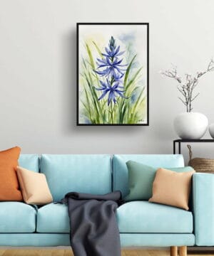 watercolour botanical print flowers camassia leichtlinii subsp living room