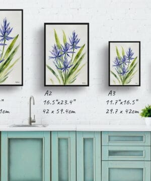 Wild Hyacinths (Camassia Leichtlinii) Watercolour Botanical Art Print - Camas Minimalist Framed Plant Wall Art 25 Wild Hyacinths (Camassia Leichtlinii) Watercolour Botanical Art Print - Camas Minimalist Framed Plant Wall Art - Image 12