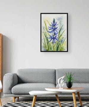 watercolour botanical print flowers camassia leichtlinii subsp office 1