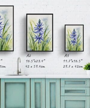 watercolour botanical print flowers camassia leichtlinii subsp print size comparison 1