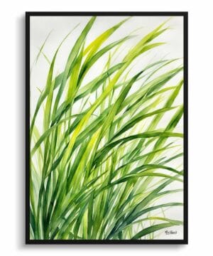 Japanese Sedge Watercolour Botanical Art Print - Carex Oshimensis Everillo Framed Plant Wall Art 18 Japanese Sedge Watercolour Botanical Art Print - Carex Oshimensis Everillo Framed Plant Wall Art - Image 5
