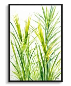 Japanese Sedge Watercolour Botanical Art Print - Carex Oshimensis Everillo Minimalist Framed Plant Wall Art 22 Japanese Sedge Watercolour Botanical Art Print - Carex Oshimensis Everillo Minimalist Framed Plant Wall Art - Image 9