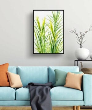 Japanese Sedge Watercolour Botanical Art Print - Carex Oshimensis Everillo Minimalist Framed Plant Wall Art 23 Japanese Sedge Watercolour Botanical Art Print - Carex Oshimensis Everillo Minimalist Framed Plant Wall Art - Image 10