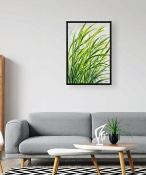 Japanese Sedge Watercolour Botanical Art Print - Carex Oshimensis Everillo Framed Plant Wall Art 20 Japanese Sedge Watercolour Botanical Art Print - Carex Oshimensis Everillo Framed Plant Wall Art - Image 7