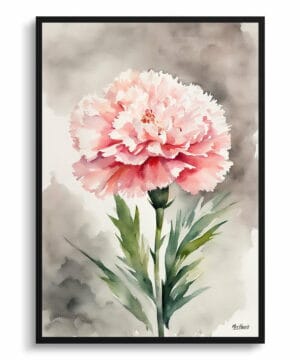 Pink Carnation Watercolour Botanical Art Print - Dianthus Gillyflower Framed Plant Wall Art 18 Pink Carnation Watercolour Botanical Art Print - Dianthus Gillyflower Framed Plant Wall Art - Image 5