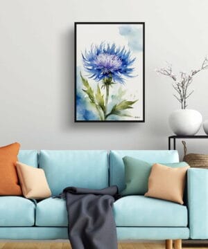 Cornflower Watercolour Botanical Art Print - Centaurea cyanus Blue Boy Framed Plant Wall Art 19 Cornflower Watercolour Botanical Art Print - Centaurea cyanus Blue Boy Framed Plant Wall Art - Image 6