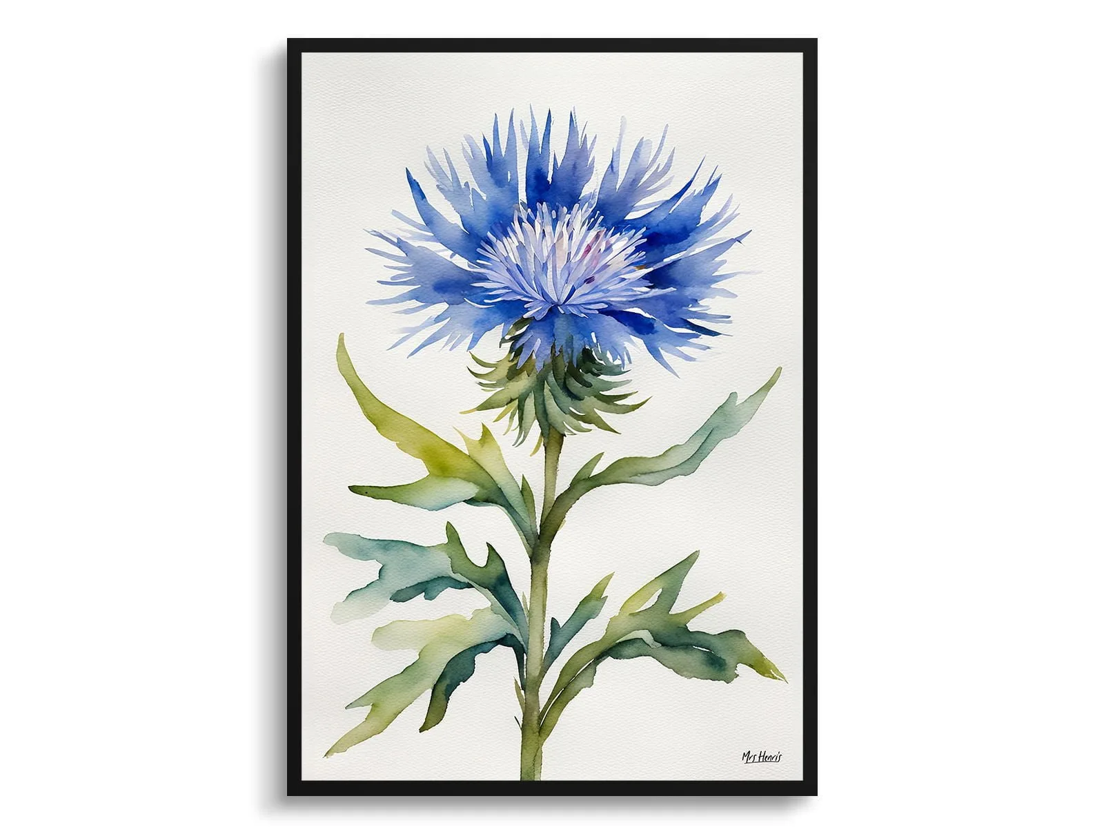 Cornflower Watercolour Botanical Art Print - Centaurea cyanus Blue Boy Minimalist Framed Plant Wall Art 7 Cornflower Watercolour Botanical Art Print - Centaurea cyanus Blue Boy Minimalist Framed Plant Wall Art - Image 5