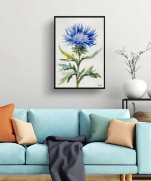 Cornflower Watercolour Botanical Art Print - Centaurea cyanus Blue Boy Minimalist Framed Plant Wall Art 19 Cornflower Watercolour Botanical Art Print - Centaurea cyanus Blue Boy Minimalist Framed Plant Wall Art - Image 6