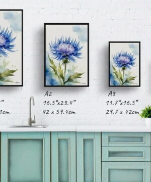 Cornflower Watercolour Botanical Art Print - Centaurea cyanus Blue Boy Framed Plant Wall Art 21 Cornflower Watercolour Botanical Art Print - Centaurea cyanus Blue Boy Framed Plant Wall Art - Image 8