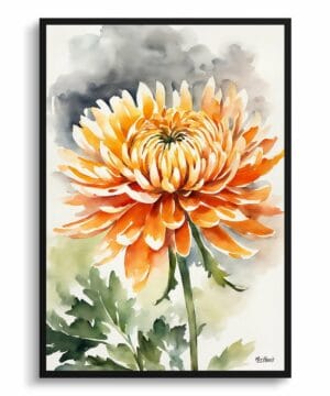Asteraceae Watercolour Botanical Art Print - Chrysanthemum Framed Plant Wall Art 18 Asteraceae Watercolour Botanical Art Print - Chrysanthemum Framed Plant Wall Art - Image 5