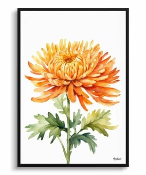 Asteraceae Watercolour Botanical Art Print - Chrysanthemum Minimalist Framed Plant Wall Art 18 Asteraceae Watercolour Botanical Art Print - Chrysanthemum Minimalist Framed Plant Wall Art - Image 5