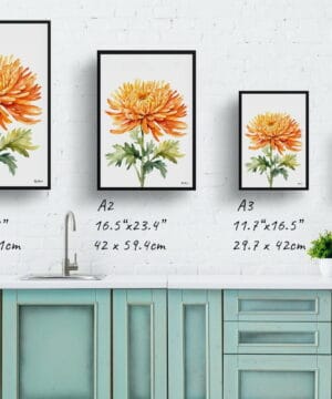Asteraceae Watercolour Botanical Art Print - Chrysanthemum Minimalist Framed Plant Wall Art 25 Asteraceae Watercolour Botanical Art Print - Chrysanthemum Minimalist Framed Plant Wall Art - Image 12