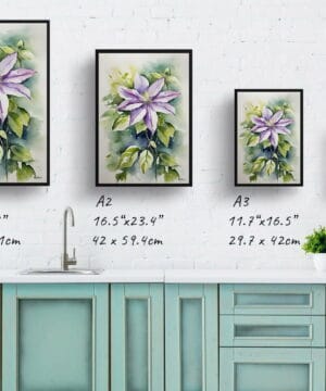 Leather flower (Clematis Beauty) Watercolour Botanical Art Print - Gravetye Framed Plant Wall Art 21 Leather flower (Clematis Beauty) Watercolour Botanical Art Print - Gravetye Framed Plant Wall Art - Image 8