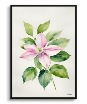 Leather flower (Clematis) Watercolour Botanical Art Print - Mayleen Minimalist Framed Plant Wall Art 22 Leather flower (Clematis) Watercolour Botanical Art Print - Mayleen Minimalist Framed Plant Wall Art - Image 9