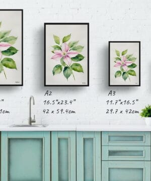 Leather flower (Clematis) Watercolour Botanical Art Print - Mayleen Minimalist Framed Plant Wall Art 25 Leather flower (Clematis) Watercolour Botanical Art Print - Mayleen Minimalist Framed Plant Wall Art - Image 12