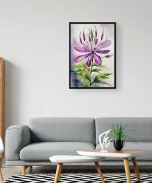 Spider flower (Cleome) Watercolour Botanical Art Print - Violet Queen Framed Plant Wall Art 20 Spider flower (Cleome) Watercolour Botanical Art Print - Violet Queen Framed Plant Wall Art - Image 7
