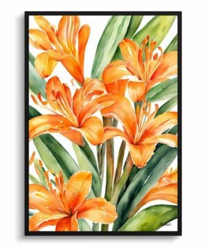Natal lily Watercolour Botanical Art Print - Clivia Framed Plant Wall Art 18 Natal lily Watercolour Botanical Art Print - Clivia Framed Plant Wall Art - Image 5