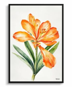 Natal lily Watercolour Botanical Art Print - Clivia Minimalist Framed Plant Wall Art 18 Natal lily Watercolour Botanical Art Print - Clivia Minimalist Framed Plant Wall Art - Image 5