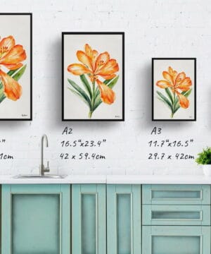 Natal lily Watercolour Botanical Art Print - Clivia Minimalist Framed Plant Wall Art 21 Natal lily Watercolour Botanical Art Print - Clivia Minimalist Framed Plant Wall Art - Image 8