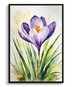Meadow Saffron Watercolour Botanical Art Print - Crocus Framed Plant Wall Art 18 Meadow Saffron Watercolour Botanical Art Print - Crocus Framed Plant Wall Art - Image 5