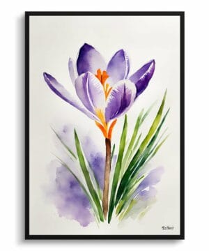 Meadow Saffron Watercolour Botanical Art Print - Crocus Minimalist Framed Plant Wall Art 18 Meadow Saffron Watercolour Botanical Art Print - Crocus Minimalist Framed Plant Wall Art - Image 5