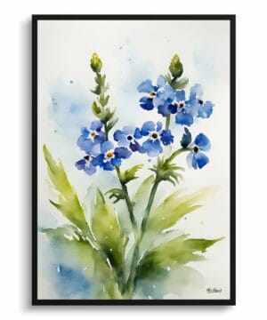 Chinese Forget-me-not Watercolour Botanical Art Print - Cynoglossum Amabile Framed Plant Wall Art 18 Chinese Forget-me-not Watercolour Botanical Art Print - Cynoglossum Amabile Framed Plant Wall Art - Image 5