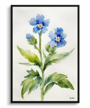 Chinese Forget-me-not Watercolour Botanical Art Print - Cynoglossum Amabile Minimalist Framed Plant Wall Art 18 Chinese Forget-me-not Watercolour Botanical Art Print - Cynoglossum Amabile Minimalist Framed Plant Wall Art - Image 5