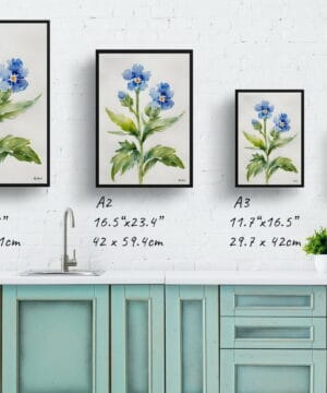 Chinese Forget-me-not Watercolour Botanical Art Print - Cynoglossum Amabile Minimalist Framed Plant Wall Art 25 Chinese Forget-me-not Watercolour Botanical Art Print - Cynoglossum Amabile Minimalist Framed Plant Wall Art - Image 12