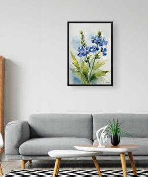 Chinese Forget-me-not Watercolour Botanical Art Print - Cynoglossum Amabile Framed Plant Wall Art 24 Chinese Forget-me-not Watercolour Botanical Art Print - Cynoglossum Amabile Framed Plant Wall Art - Image 11