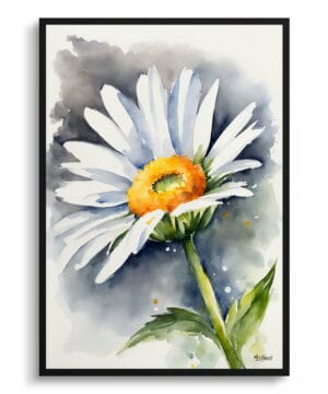 Oxeye Marguerite Watercolour Botanical Art Print - Daisy Framed Plant Wall Art 22 Oxeye Marguerite Watercolour Botanical Art Print - Daisy Framed Plant Wall Art - Image 9
