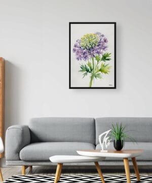 Queen Anne's lace (Daucus carota) Watercolour Botanical Art Print - Cosmic Carrot Minimalist Framed Plant Wall Art 20 Queen Anne's lace (Daucus carota) Watercolour Botanical Art Print - Cosmic Carrot Minimalist Framed Plant Wall Art - Image 7