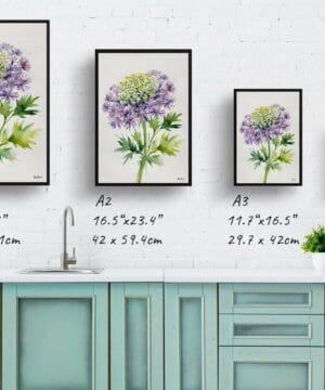 Queen Anne's lace (Daucus carota) Watercolour Botanical Art Print - Cosmic Carrot Minimalist Framed Plant Wall Art 21 Queen Anne's lace (Daucus carota) Watercolour Botanical Art Print - Cosmic Carrot Minimalist Framed Plant Wall Art - Image 8