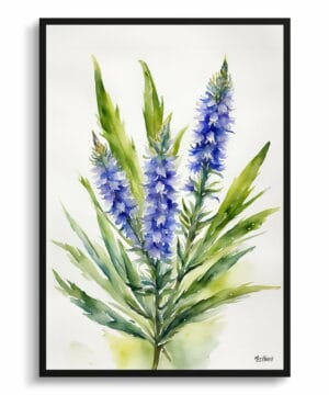 Viper's bugloss Watercolour Botanical Art Print - Echium Vulgare Minimalist Framed Plant Wall Art 22 Viper's bugloss Watercolour Botanical Art Print - Echium Vulgare Minimalist Framed Plant Wall Art - Image 9