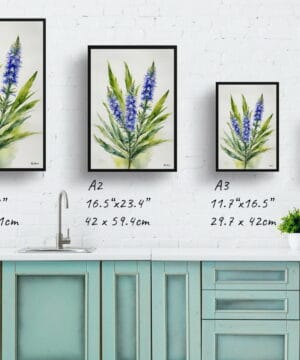Viper's bugloss Watercolour Botanical Art Print - Echium Vulgare Minimalist Framed Plant Wall Art 25 Viper's bugloss Watercolour Botanical Art Print - Echium Vulgare Minimalist Framed Plant Wall Art - Image 12