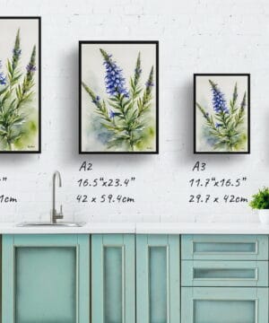 Viper's bugloss Watercolour Botanical Art Print - Echium Vulgare Framed Plant Wall Art 21 Viper's bugloss Watercolour Botanical Art Print - Echium Vulgare Framed Plant Wall Art - Image 8
