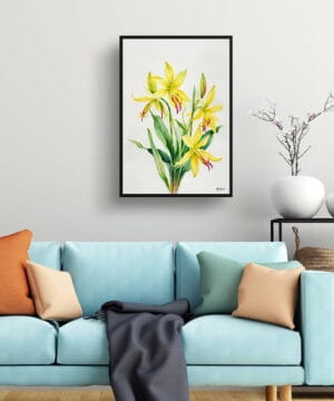 Erythronium Fawn lily Watercolour Botanical Art Print - Dogtooth Violet Minimalist Framed Plant Wall Art 23 Erythronium Fawn lily Watercolour Botanical Art Print - Dogtooth Violet Minimalist Framed Plant Wall Art - Image 10