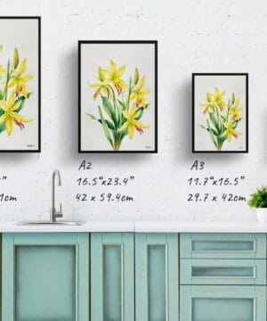 Erythronium Fawn lily Watercolour Botanical Art Print - Dogtooth Violet Minimalist Framed Plant Wall Art 25 Erythronium Fawn lily Watercolour Botanical Art Print - Dogtooth Violet Minimalist Framed Plant Wall Art - Image 12