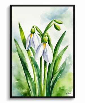 Giant Snowdrop Watercolour Botanical Art Print - Galanthus Elwesii Framed Plant Wall Art 18 Giant Snowdrop Watercolour Botanical Art Print - Galanthus Elwesii Framed Plant Wall Art - Image 5